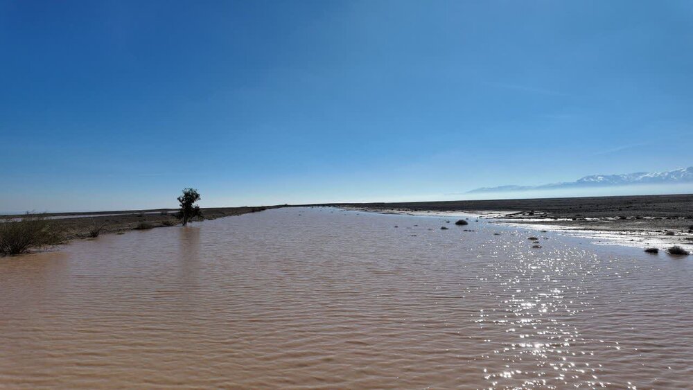 وقتی سیلاب به سرمایه تبدیل می‌شود/ نقش آبخیزداری در مدیریت پایدار منابع آب