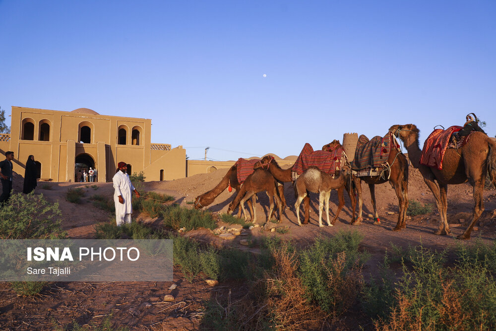 شفیع‌آباد شهداد، بهترین روستای گردشگری جهان در سال ۲۰۲۵